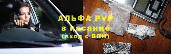 spice Верея
