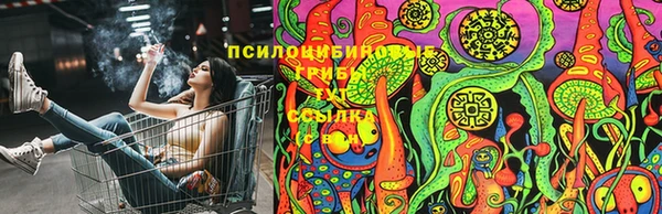 spice Верея