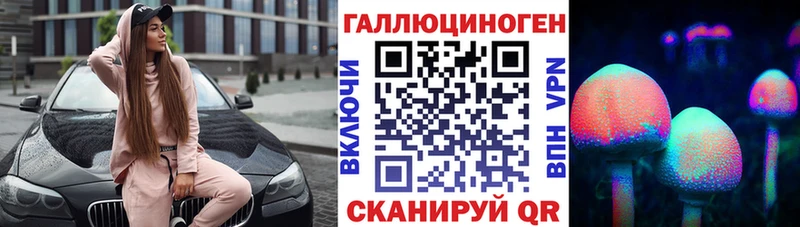 Галлюциногенные грибы Psilocybine cubensis Купить Анжеро-Судженск